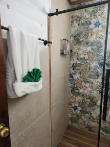 a bathroom with a shower with a towel at Tropicoco Pool House Steps From The Beach in Puerto Nuevo