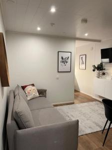 a living room with a gray couch and a rug at Arctic Circle Guesthouse in Rovaniemi