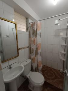 a bathroom with a toilet and a sink and a mirror at Apartamento Mirador San Blas in Cusco