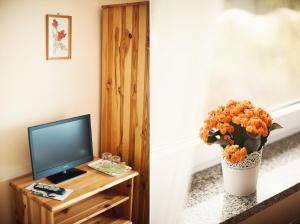 una habitación con TV y un jarrón de flores sobre una mesa en Noclegi Moya Ameryka w Dolinie Baryczy, en Milicz