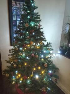 Un árbol de Navidad con luces en una habitación en Coastal village retreat, en Castletownshend