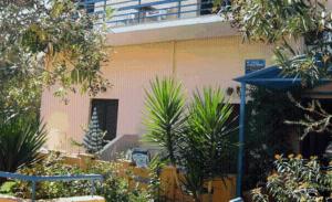 A garden outside Alexandros Studios & Apartments