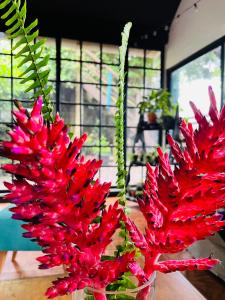 two red flowers in a vase on a table at Altillo Valizas in Barra de Valizas