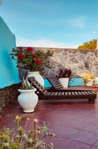 un patio con sillas, macetas y una pared de piedra. en Hosteria Los Helechos en Puerto Iguazú