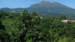 a mountain in the distance with trees in front of it at Zénitude Bungalow in Le Lorrain