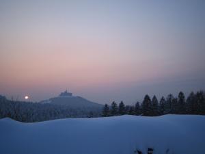 Afbeelding uit fotogalerij van Logis Hotel & Restaurant - Les Vosges in Dabo +37 foto's