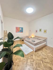 een kamer met een bed en een plant erin bij Spacious 2BDR apartment with balcony in Wenceslas Square in Praag