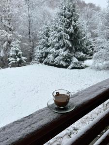 Una taza de café sentada en un alféizar de la ventana en la nieve en Cabana Verde, en Budureasa
