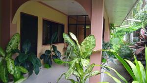 Esperanzafranky jay house的墙上有一堆植物的房间