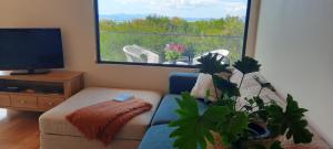 a living room with a blue couch and a large window at Evergreen Cabin in Primrose Sands