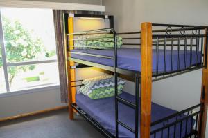Zimmer mit Etagenbett, 2 Etagenbetten und einem Fenster in der Unterkunft Hippo Lodge Backpackers in Queenstown