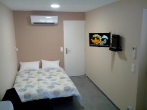 a small bedroom with a bed and a tv at Studios Meublés du Centre Village in Argelès-sur-Mer