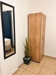 uno specchio e una pianta in vaso in una stanza di Apartamentos Trebol a Comayagua
