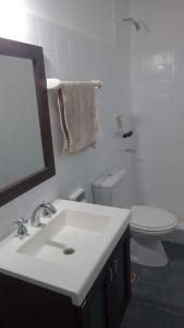 W łazience znajduje się umywalka, toaleta i lustro. w obiekcie departamento en barrio Roca w mieście Puerto Madryn