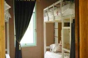 拉布安的住宿－Bajo Bunkhouse，一间卧室设有两张双层床和一扇窗户。