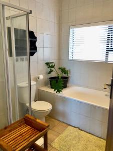 La salle de bains est pourvue de toilettes et d'une baignoire avec une plante. dans l'établissement Aporto Villa, à Reebok