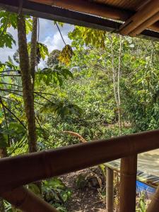 a view of a forest from a porch at GOLDEN TREE MINDO ECO-LODGE in Mindo