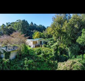 a house in the middle of a forest of trees at Morere Cottage Accommodation in Morere