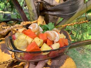 una persona sosteniendo un bol de frutas y hortalizas en Thermal Paradise Villa, en Caluco