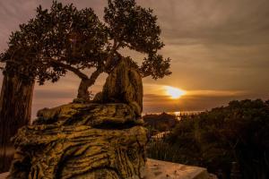 a bonsai tree sitting on top of a rock at Nusa View in Nusa Lembongan