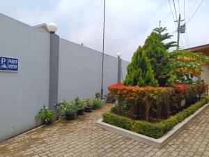 uma fila de vasos de plantas junto a uma parede em Omah Gunung Homestay em Batur