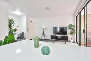 a living room with a cactus and a tv at Stylish 2 Bedroom Apartment Chippendale in Sydney