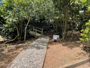 Bellingen Treehouse外面的花园