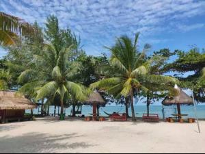 a beach with chairs and palm trees and the ocean at Bintan Brzee Beach in Bintan Island - Bungalow 1 in Berakit