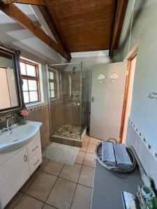 a bathroom with a shower and a sink at Zwartmodder Clarens in Clarens