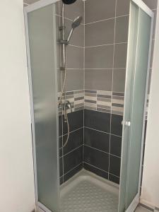 um chuveiro com uma porta de vidro na casa de banho em L'escale em Saint-Étienne-dʼOrthe