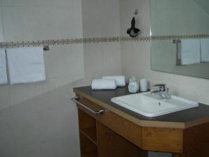 ein Bad mit einem Waschbecken und einem Spiegel in der Unterkunft Gasthaus zum Schwanen in Ühlingen-Birkendorf