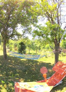 a kite sitting on the grass in a park at O Refuxio de la Jerezana in Redondela
