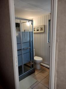 ein Bad mit einem WC und einer Glasdusche in der Unterkunft Le halage 65 m2 in Baudre