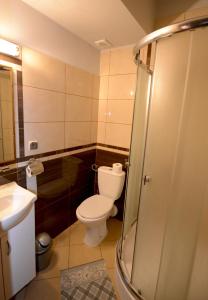 ビャウカにあるDom Wypoczynkowy Podhalankaのバスルーム(トイレ、洗面台、シャワー付)