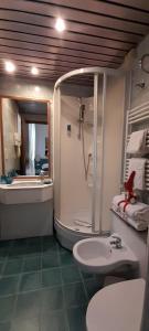 ein Bad mit einer Dusche, einem WC und einem Waschbecken in der Unterkunft Hotel Castelfidardo in Rom