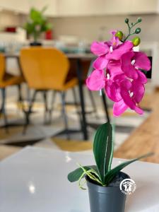 a purple flower in a pot on a table at Loft cocon climatisé - Imprenable vue sur le château Comtal in Carcassonne