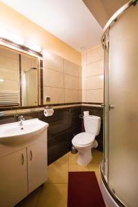 a bathroom with a toilet and a sink and a shower at Dom Wypoczynkowy Podhalanka in Białka Tatrzańska