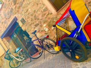 Jazda na bicykli v okolí ubytovania Cuatro Rosas Jerica