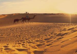 Gallery image of Barkha Desert Safari Camp in Sām