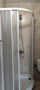 a shower with a glass door in a bathroom at Apartment SUNNY&RELAX Pamporovo The Castle 2 in Pamporovo