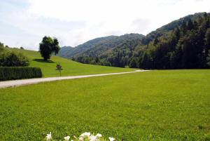 Fotografie z fotogalerie ubytování Pri Vidrgarju v destinaci Vače