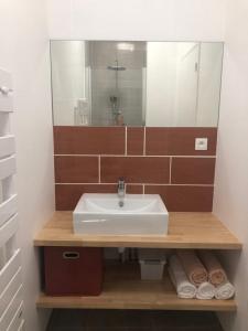 a bathroom with a sink and a mirror at Appartements coeur de ville de Vichy in Vichy