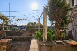 an outdoor area with a fence and a tree at Apartment Mare in Dubrovnik