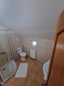 un bagno con doccia, WC e lavandino di Casa La Buni a Buşteni Altre 62 foto