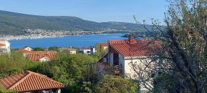 a town with a view of a body of water at Apartments Mory in Kornić