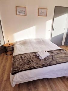 um quarto com uma cama com duas toalhas em "Le Bisontin", studio cosy au calme, proche de la gare em Besançon