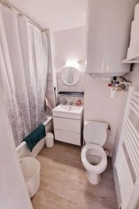 uma pequena casa de banho com WC e lavatório em "Le Bisontin", studio cosy au calme, proche de la gare em Besançon