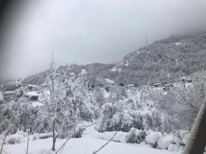 einen schneebedeckten Hügel mit Häusern und Bäumen in der Unterkunft Ustria Crusch Alva in Tavanasa