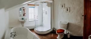 uma casa de banho com um chuveiro, um WC e um lavatório. em Treleddyn Farmhouse em St. Davids