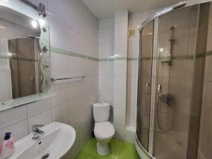 a bathroom with a shower and a toilet and a sink at Doba In Ua Polia27D Apartments in Dnipro